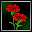 Red Carnation
